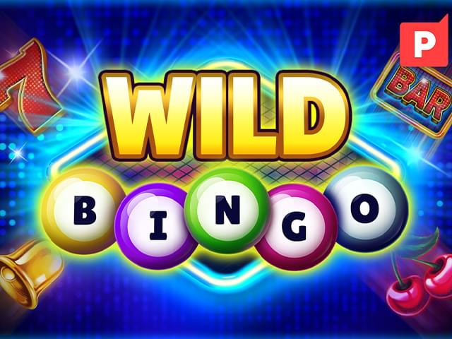 4 play bet Bingo Selvagem